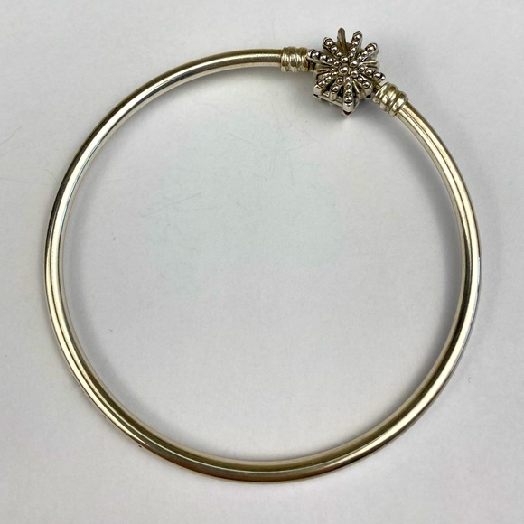 Pandora Limited Edition Fireworks Bangle - Picture 3 of 5